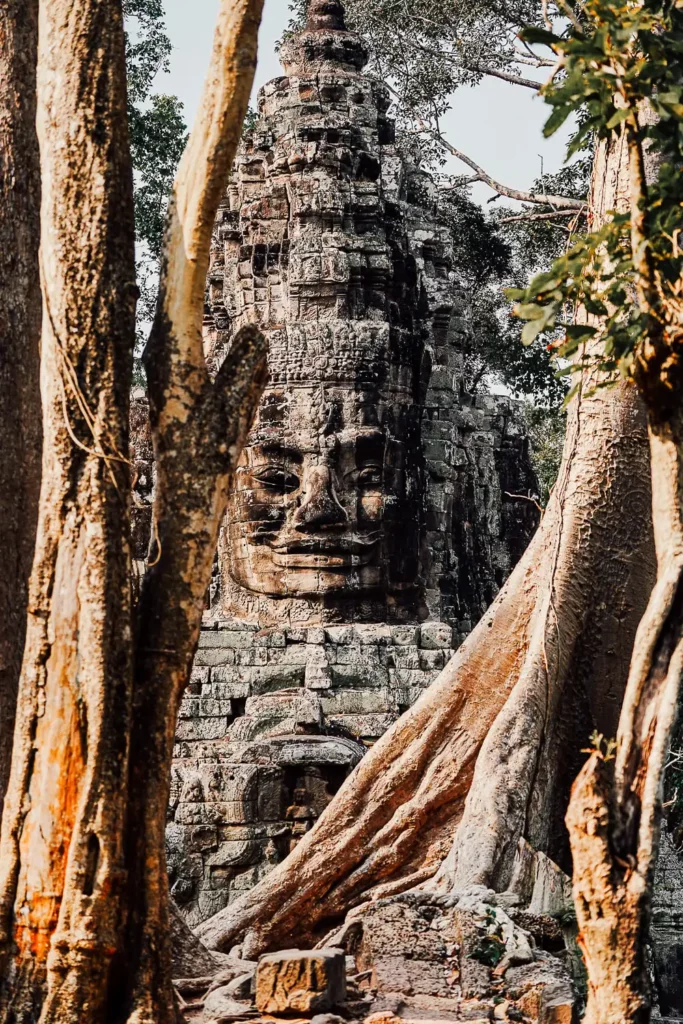 Ruines remplies de végétation dans les temples au Cambodge