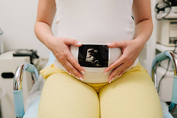 photographe grossesse Grenoble