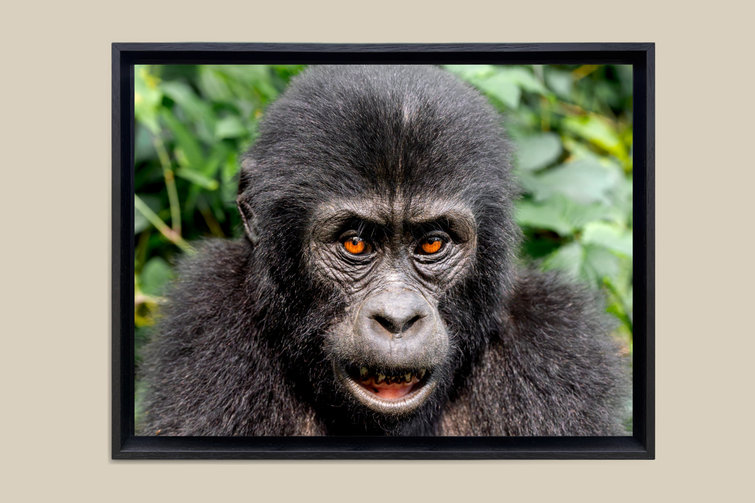 Enfant de Bwindi