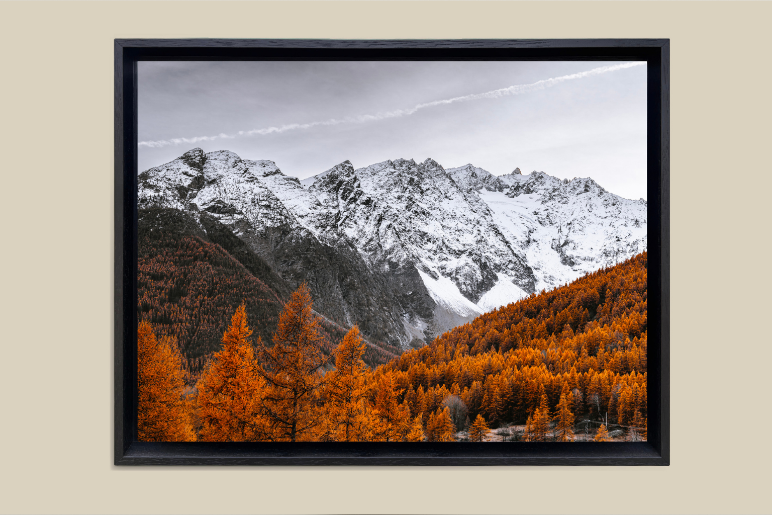 Cimes d'automne