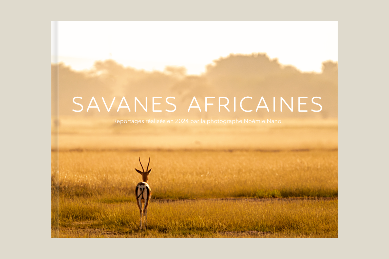 Savanes Africaines