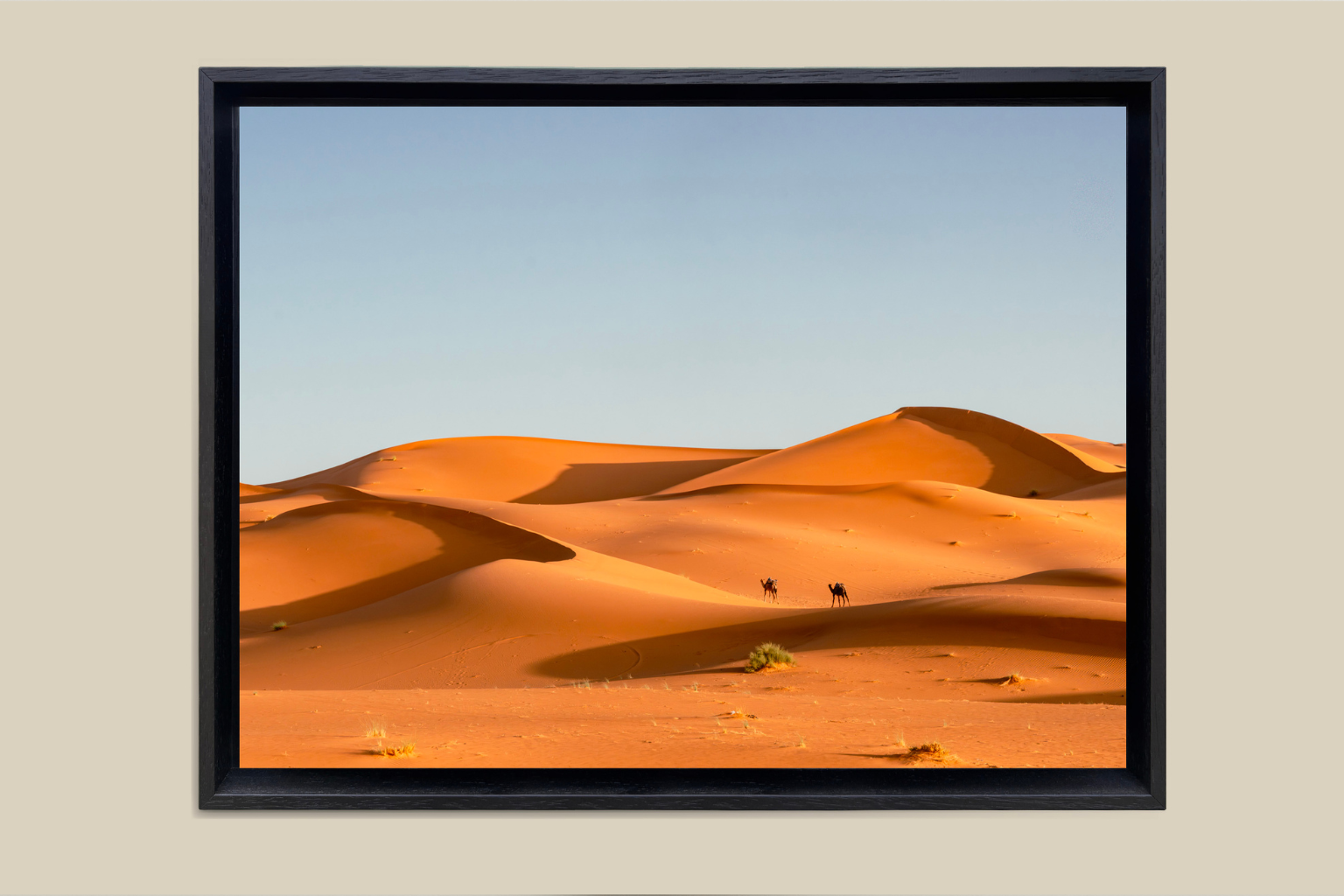 Océan de sable