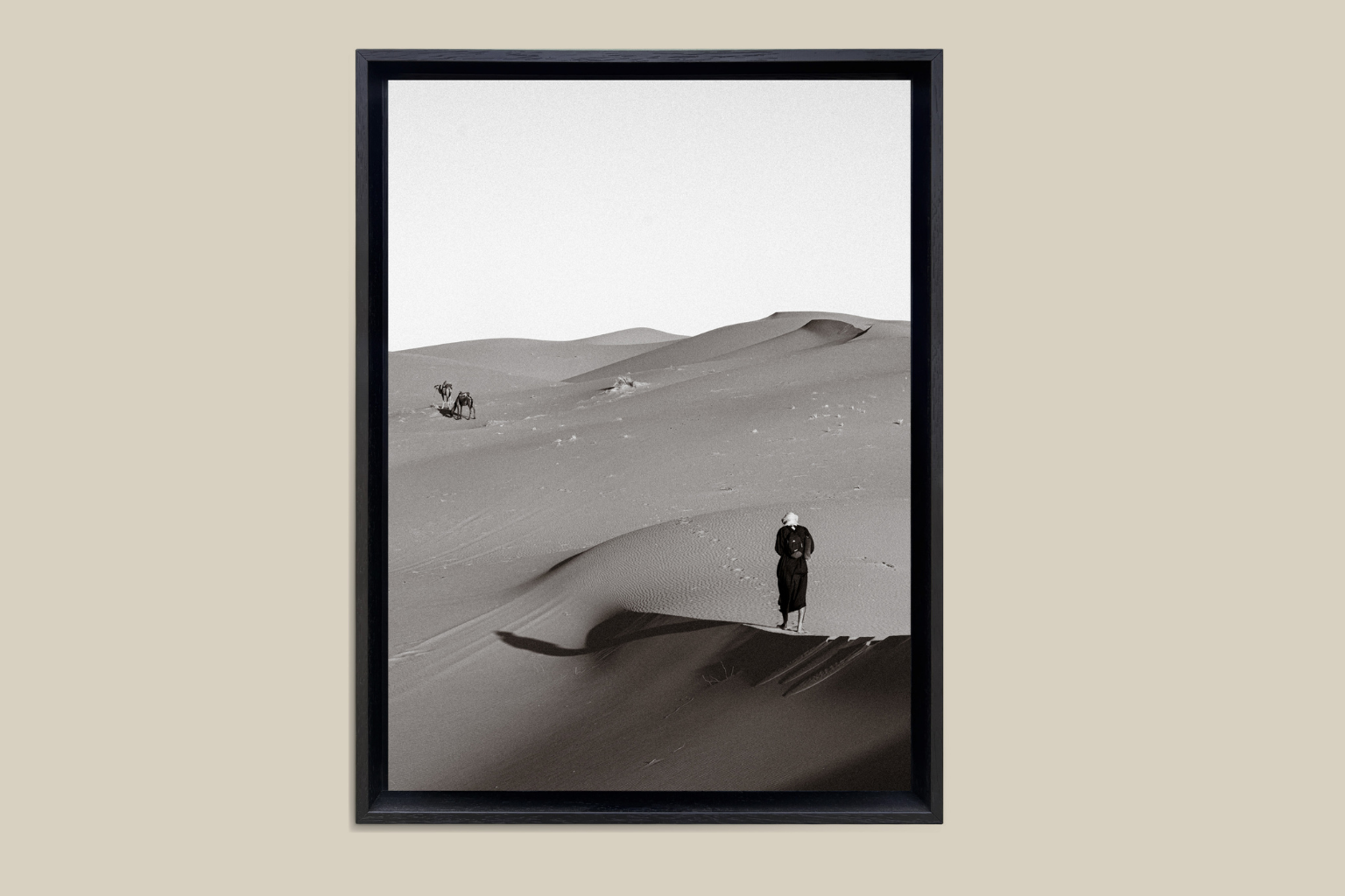 Voyageur des Sables