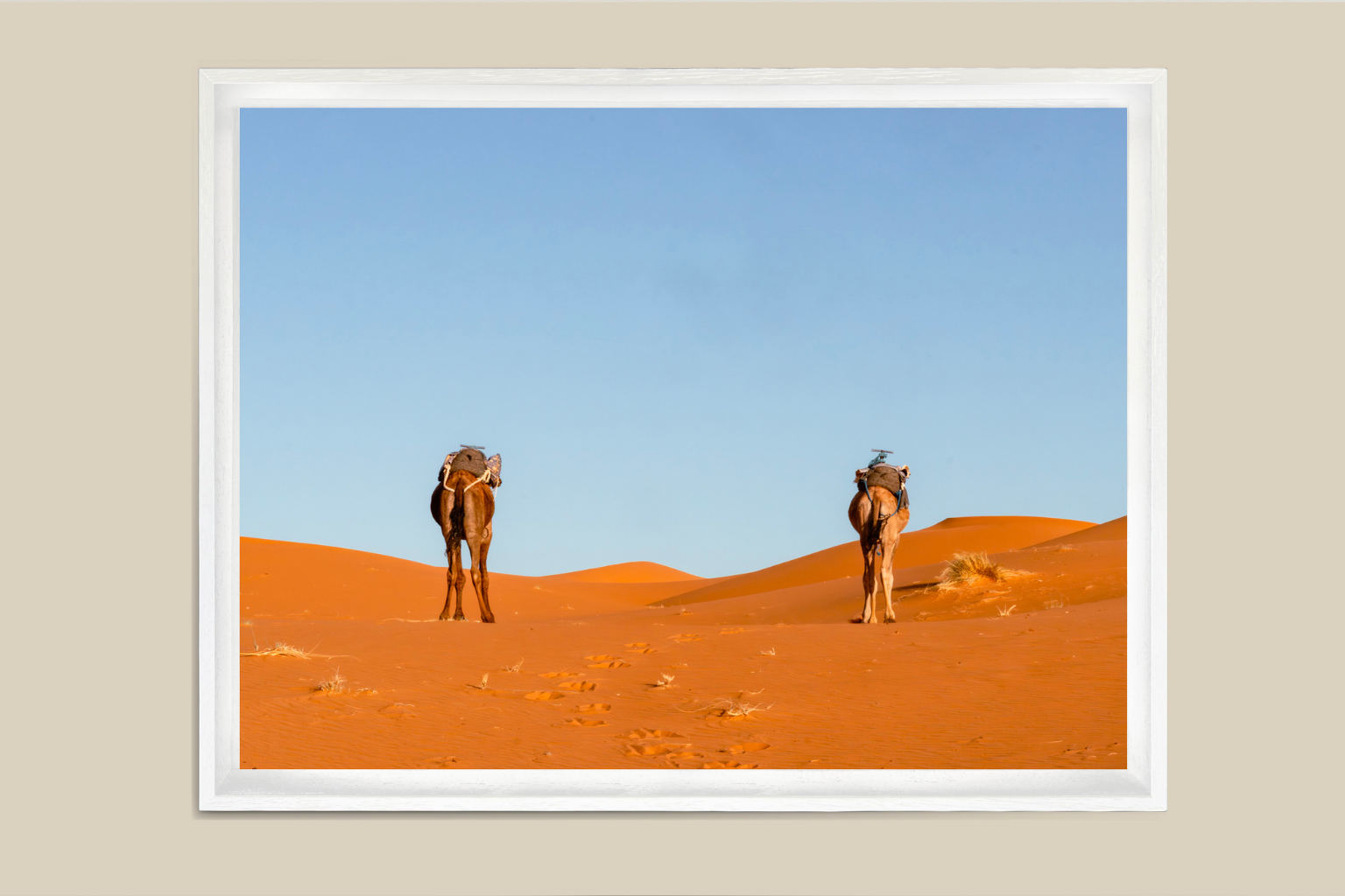 Fidèles des dunes